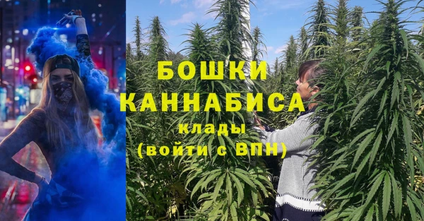крисы Бугульма